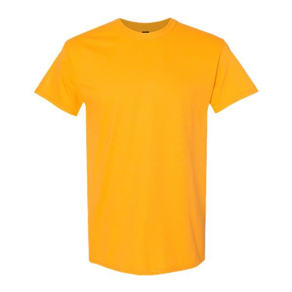 Unisex Heavy Cotton T-shirt – 22