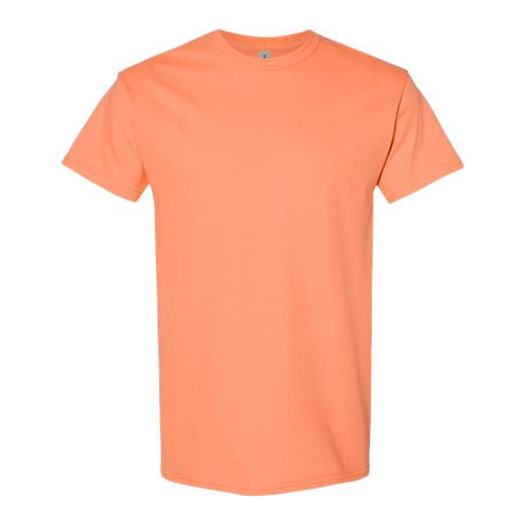 Unisex Heavy Cotton T-shirt – 56