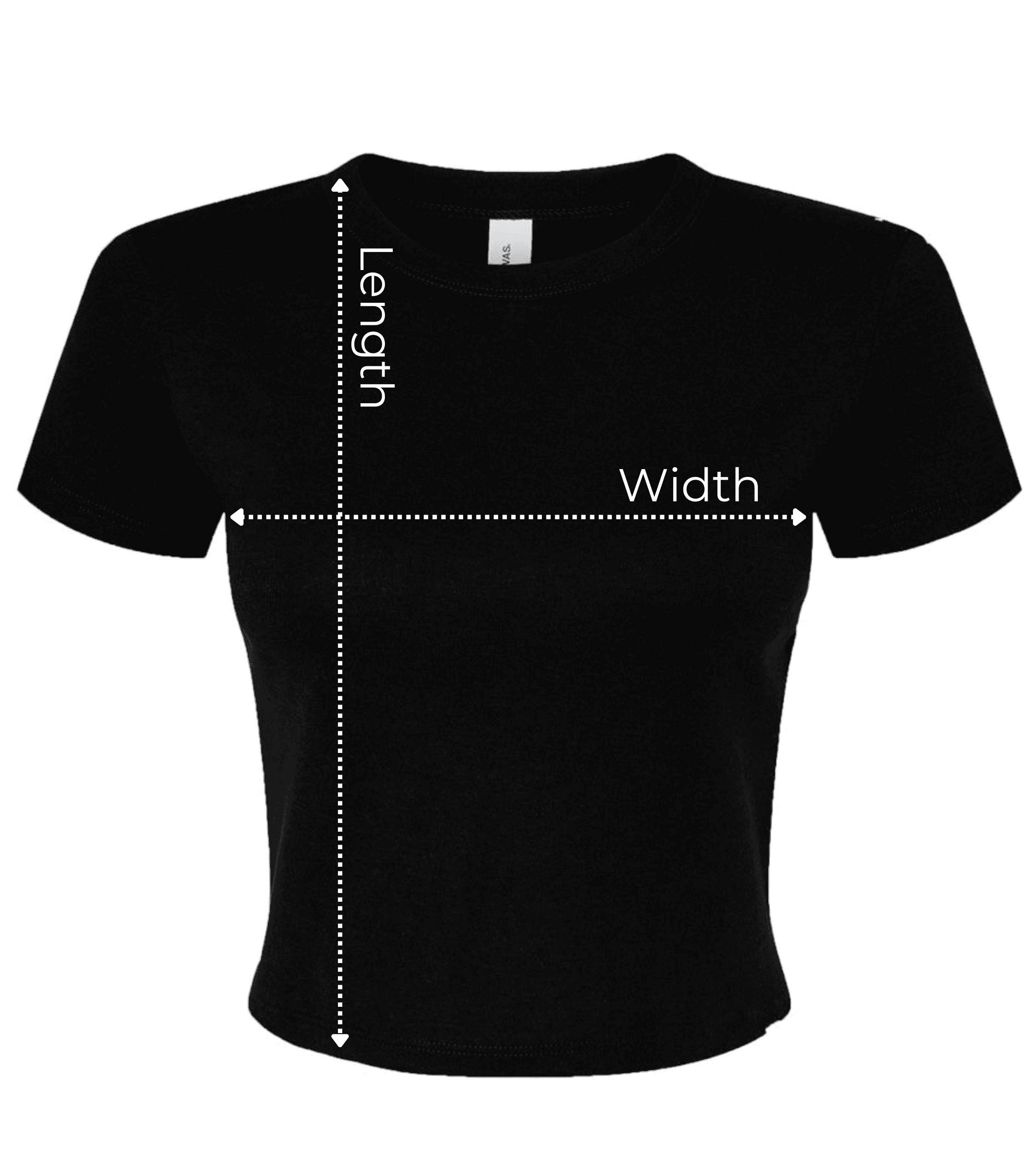 Hướng dẫn kích thước – Women's Micro Rib Baby Tee